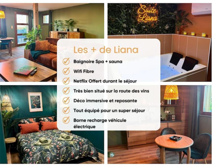 Suite Liana - Spa- Sauna Rorschwihr Екстер'єр фото