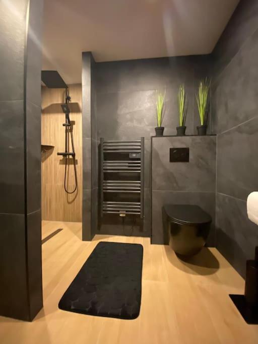 Suite Liana - Spa- Sauna Rorschwihr Екстер'єр фото